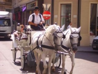 Wien Rundfahrten (Vienna City Tours) image