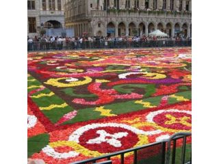Flower Carpet image