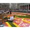 Flower Carpet image
