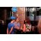 Hangar bar image