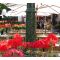 Les Brasseries Georges - French image