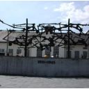 Radius Tours & Bike Rental image