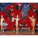 Le Moulin Rouge - cabaret image