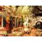 Le Sud restaurant image