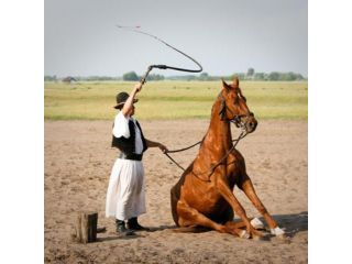 Hungarian Puszta ranch - a horse show image