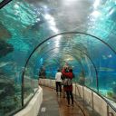 Aquarium Barcelona image