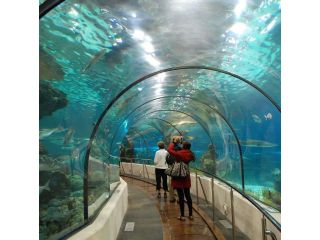 Aquarium Barcelona image