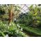Palmengarten image